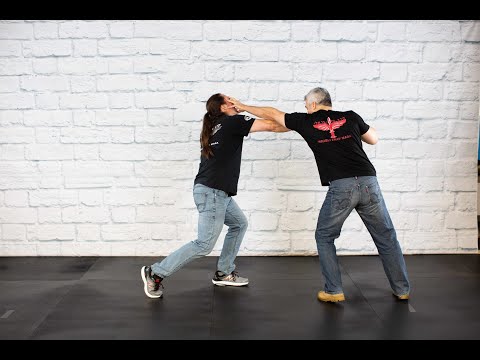 Straight Punch Defense with Counter-Strikes