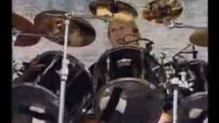 Cryptic Wintermoon  Fallen Kingdoms