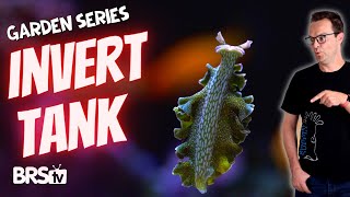 A UNIQUE Jam Packed Invertebrate Reef Tank!