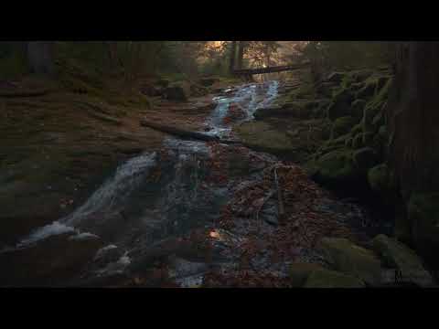 4K HDR Autumn Cascade - Waterfall Sounds - White Water   Relaxing Forest Ambiance Video