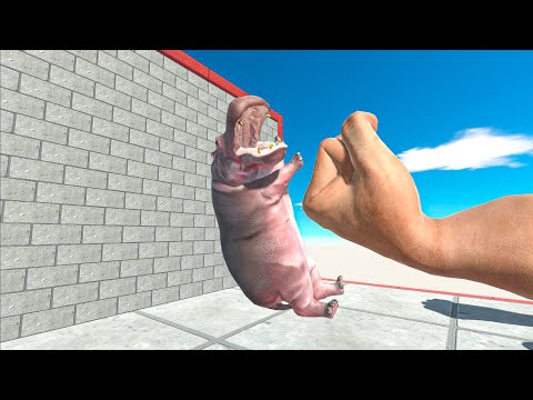 Best Punch - Animal Revolt Battle Simulator