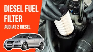Youtube thumbnail of video "Diesel fuel filter"