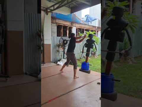 Sigi Maestro - pell fencing