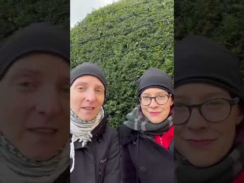 Valentine‘s heart attack show