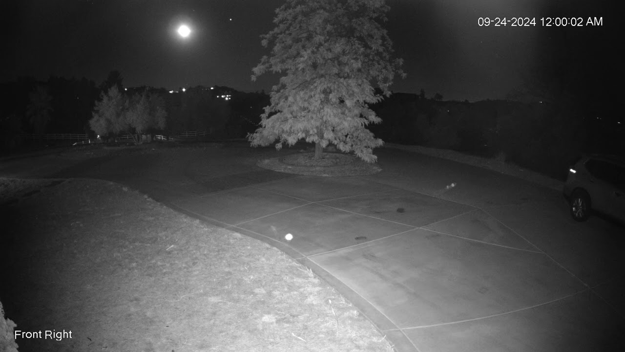 Spider Web on Security Camera