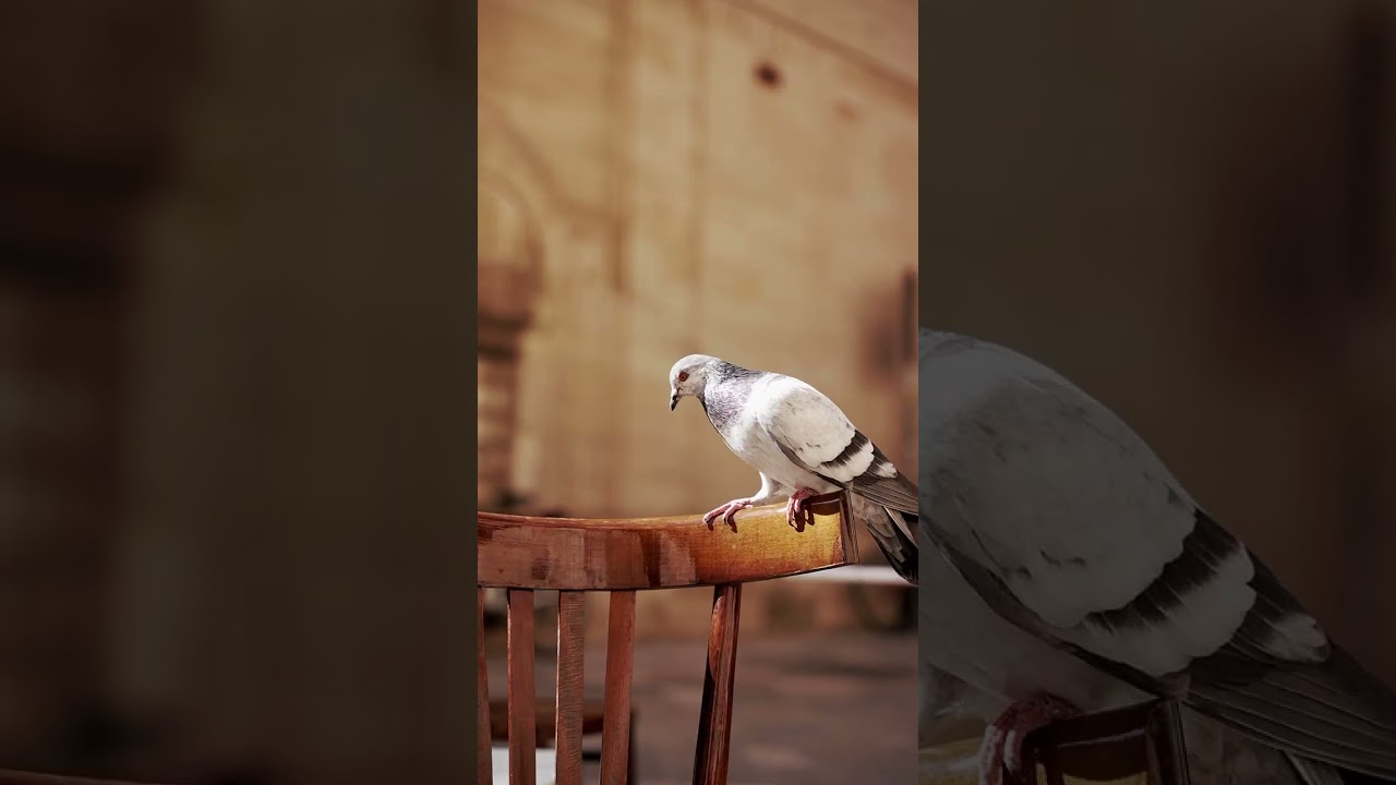 Viola Milano Spring/Summer 23