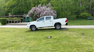 Купить автомобиль Toyota Hilux - Изображение 4 | Autoline TM Автомобиль Toyota Hilux | Изображение 4 - Autoline