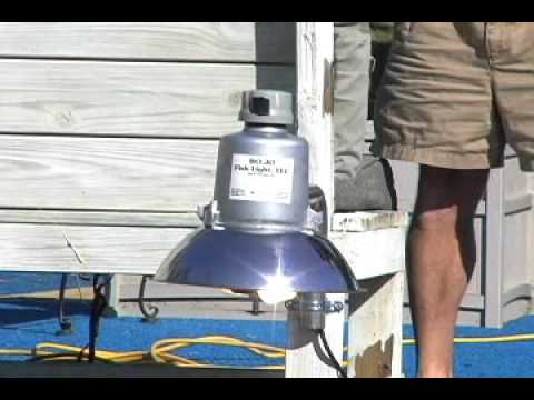 download lagu mp3 mp4 Bo Jo Fish Light, download lagu Bo Jo Fish Light gratis, unduh video klip Bo Jo Fish Light