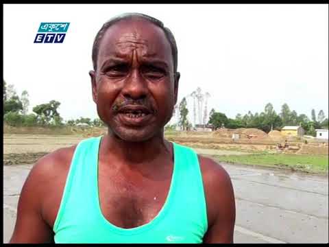 গাইবান্ধায় বোরো বীজ সংকট