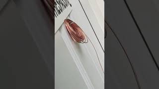 Download lagu How to Free HD Cable TV with Copper Wire 50 channels mp3 Download lagu How to Free HD Cable TV with Copper Wire 50 channels mp3