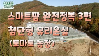 스마트팜 탐방기 3편. 첨단형 유리온실. 토마토 농장. 지열난방까지.