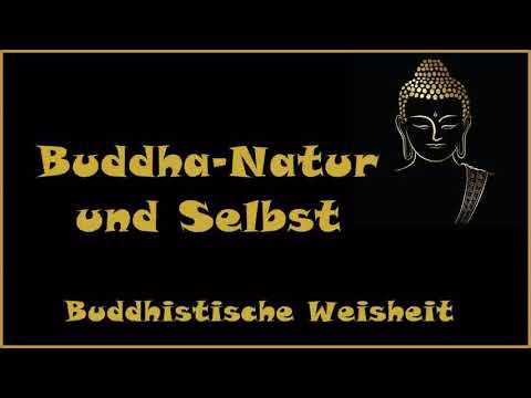 Zur Inspiration: Buddha Natur und Selbst - Buddhistische Weisheit