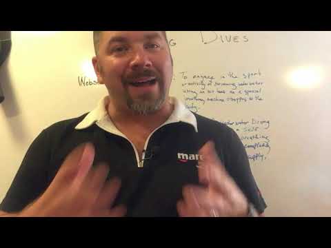 "Logging Dives" Who - What - When - Where - Why - How