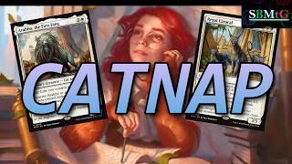 Daydream + Cats = Win Every Game Somehow | Mtg