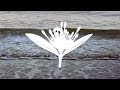 COPELAND - Ordinary 