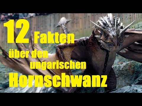 12 FAKTEN über den UNGARISCHEN HORNSCHWANZ 🔥