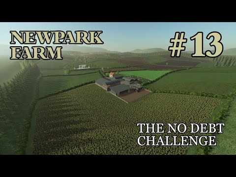 Making BIG Progress! - Newpark Farm - Episode 13 - Farming Simulator S19