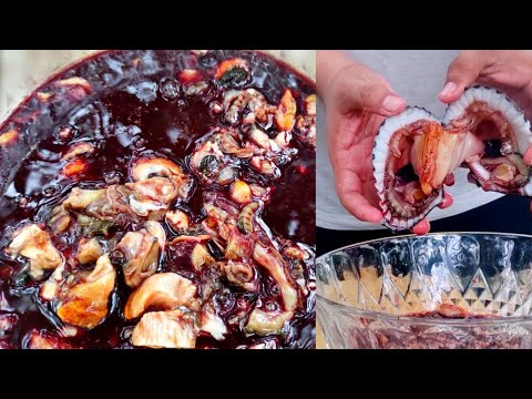 Ceviche de concha pata de mula ecuatoriano 🦪 | Delicia marina que debes probar