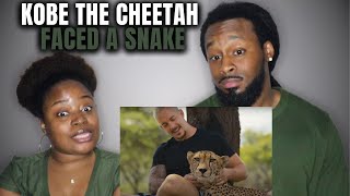 DEAN SCHNEIDER'S ANIMAL FAMILY: The Lions were crazy & Kobe the Cheetah faced a Snake Reaction