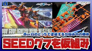 【ガンプラ製作】赤or白どっちで塗装するか悩み中の「HG グフイグナイテッド」パーツ切り出し【作業雑談｜セキヒカラジオ】