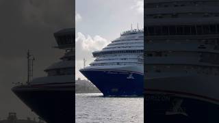 Carnival Horizon 🛳️ #share #yt #subscribe #comment #cruise #vacation #shortvideo #shortsvideo #fun