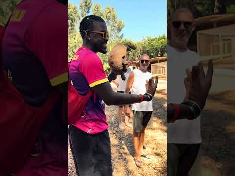 🌿 Eco Resort Recanto Alvorada é uma opção de hospedagem para quem busca descanso e lazer.