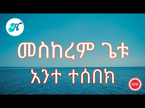 Meskerem Getu - Ante Tesebek (አንተ ተሰበክ) Lyrics Video