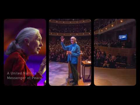 Jane Goodall named 2019 Beatty Lecturer