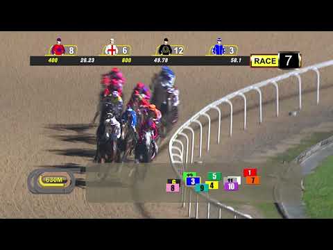 新报杯 2019 (草上飞)