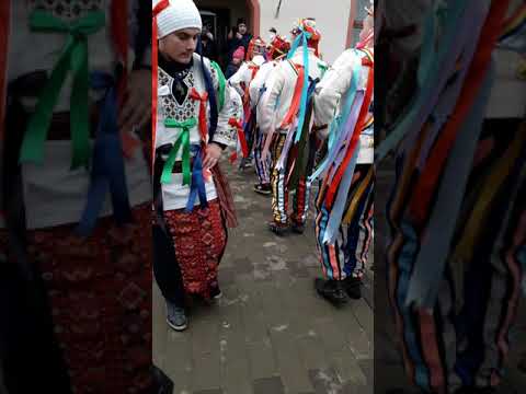 Capra Piscu Rusului  Com Dagata 2018-2019