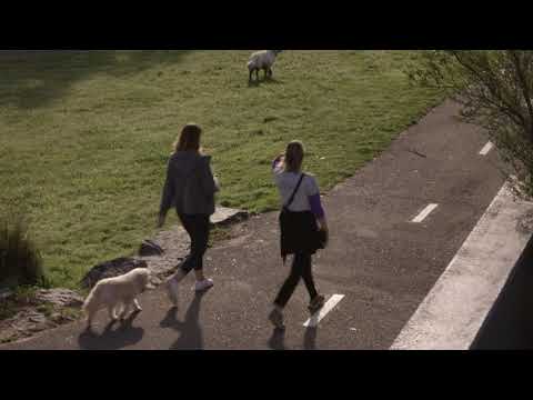 Marshall White Projects: Tomorrow - 243-249 St Georges Road, Northcote