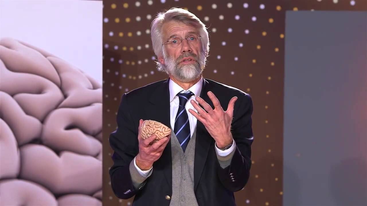 Why does vanilla custard destroy our brains? Prof. dr. Erik Scherder (4/5)