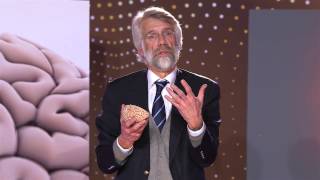 Waarom vernietigt vanillevla onze hersenen? Prof. dr. Erik Scherder (4/5)
