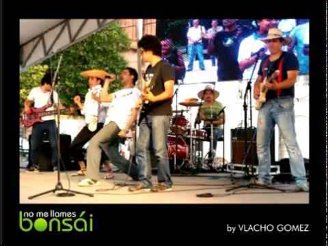 No me llames Bonsái - Vlacho Gomez