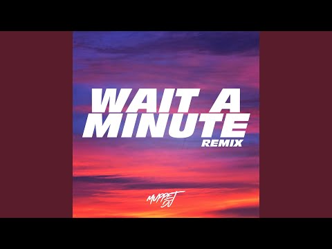 Wait A Minute! (Tik Tok Remix)