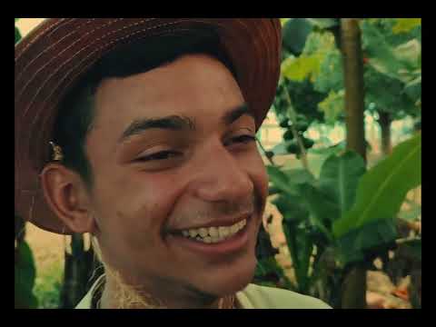 BUMBA MEU BOI DE VOLTA À TRADIÇÃO. 4K