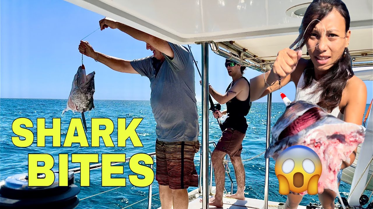 Shark Ate My Fish! | Coral Bay, Australia | Sailing KALLI