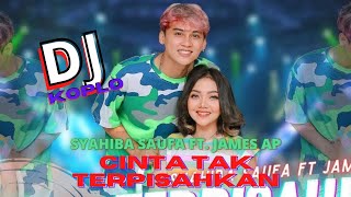 Download lagu CINTA TAK TERPISAHKAN -SYAHIBA SAUFA | DJ FULL BASS mp3