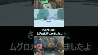 氷河って夏だと涼しく感じるけど冬だと寒いよね【スプラトゥーンレイダース】#スプラトゥーンレイダース #レイダース #スプラ3