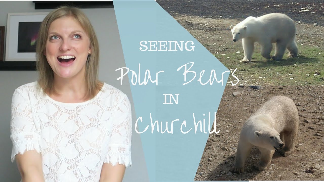 6 Things to do in Churchill, Manitoba (Polar Bear Country)