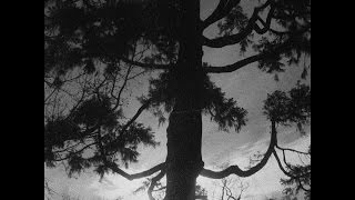 E - Great Light (Official Music Video)