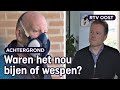 Bestrijder en dierenvriend lijnrecht tegenover elkaar na bestrijding 'wespennest' | RTV Oost