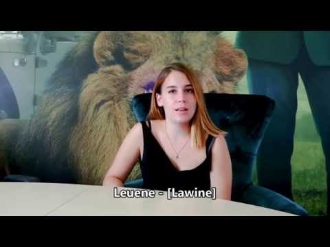 Alles auf Grün #9 - Mundart Mittwuch [003] - Appenzeller Begriffe