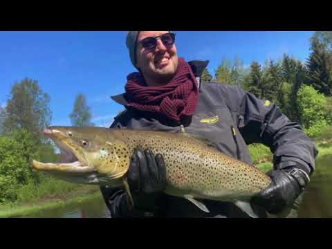 Huikeita hetkiä tyky-päivillä - 83cm meritaimen nappasi Spintubeen