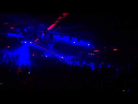 Rosabel 2014 Arabian Knights