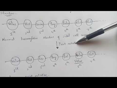 POINT MUTATION BY PHANINDRA GUPTHA