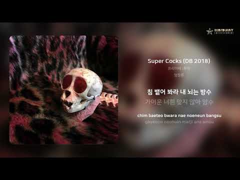 프리마테 (투탁 - Super Cocks (DB 2018) | 가사 (Lyrics)