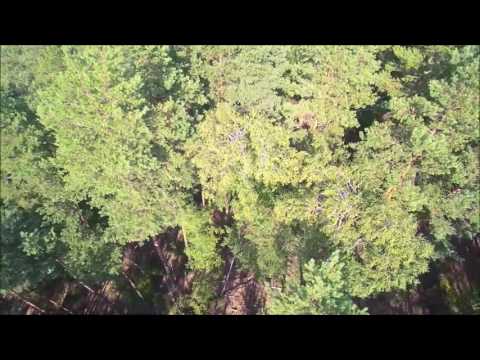 Calauer Schweiz von Oben