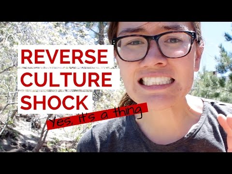 Reverse culture shock & KILLER BEES