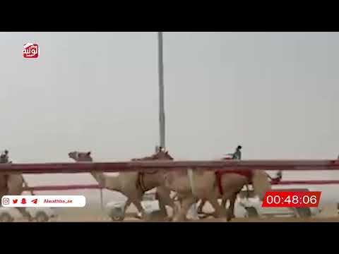   ش 8 (شاهين) لـ مبارك سيف الشدي المنصوري 2:13 , شارة الصندوق 2026/06/14 فطامين سويحان       